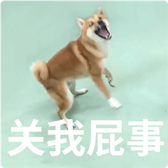 柴犬齐天表情包第二弹
