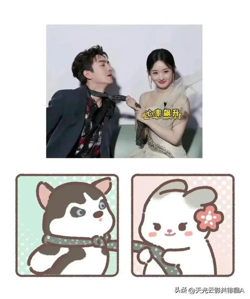 赵丽颖和林更新怎么有那么多奇奇怪怪的情头,从小到大都好有cp感