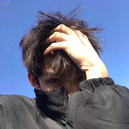 男生头像惊鸿难抵梦重重