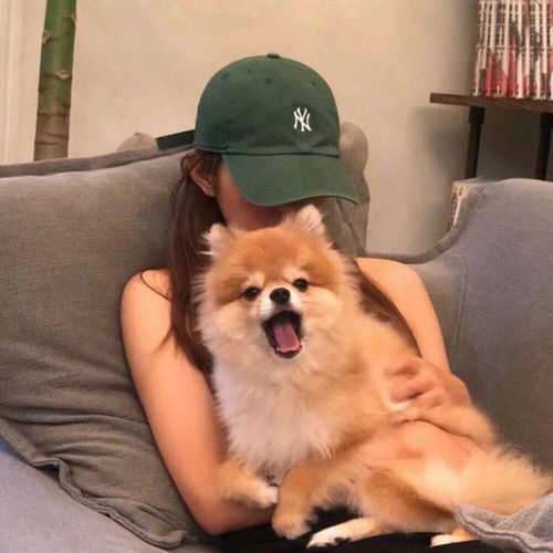 ins风高级质感女生头像