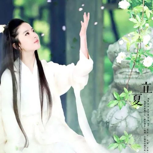 替父从军的女英雄就是她迪士尼花木兰女主花落刘亦菲