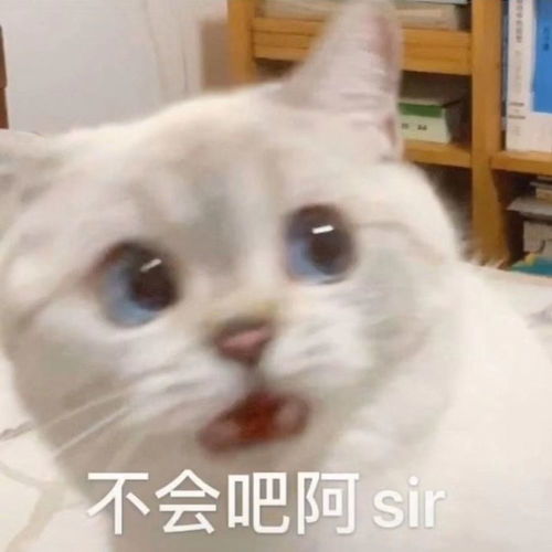不能错过的沙雕表情包
