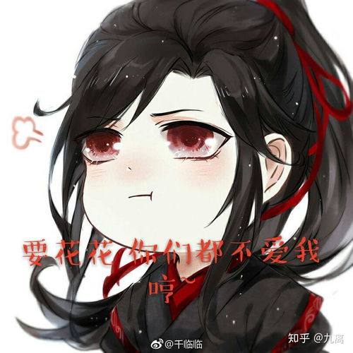 求蓝忘机和魏无羡的情头
