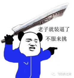学飞十年后,你成什么样子了