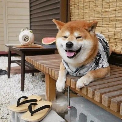 一发出去就能镇住朋友圈的沙雕文案