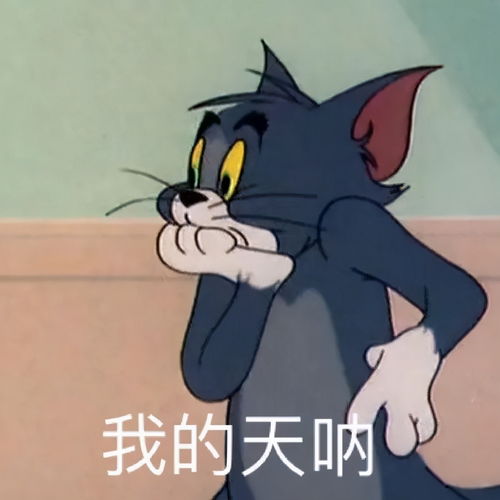 可爱沙雕表情包冷死你的宝宝了,呜呜