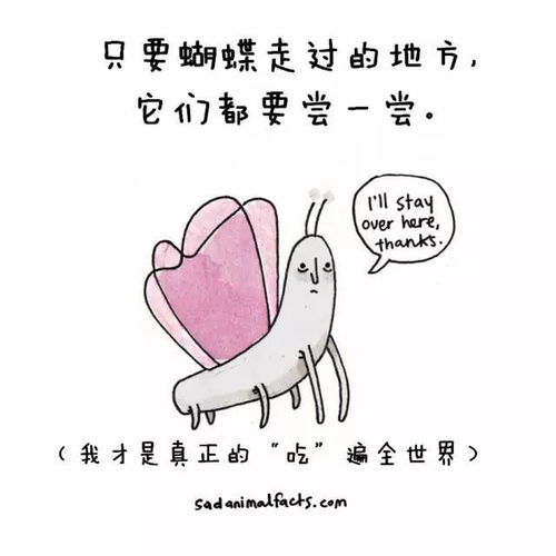 英文搞笑漫画动物的世界真难懂趣味