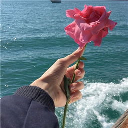 好看的手拿东西头像个性唯美2018女生部位头像手控最爱
