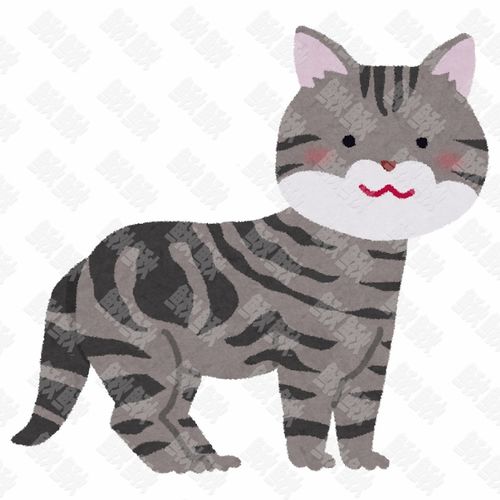 美国短毛猫的写实插画的小猫猫咪手绘卡通插画手绘png儿童插画免扣素材1阿猫阿狗
