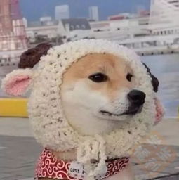 抖音超火的十大情侣头像