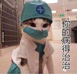 碰瓷也讲究礼数奇葩男碰瓷前先敬礼再卧倒