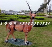 黄页88高清图片