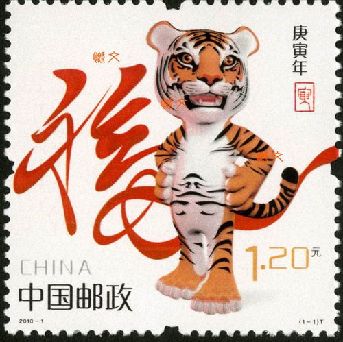 老虎美颜了雄性东北虎瘦脸惹争议