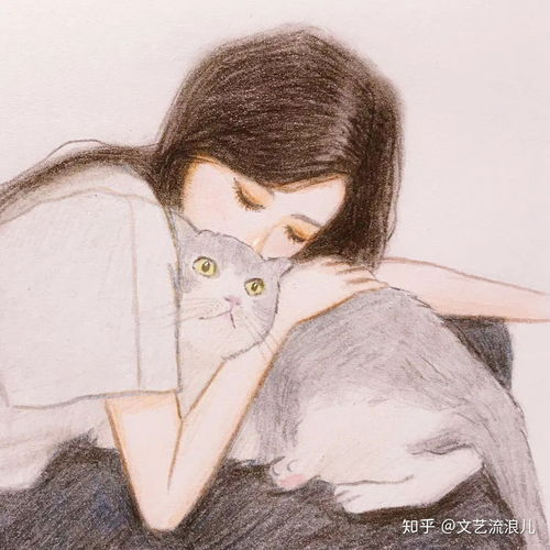 在这里分享一个你喜欢的句子叭