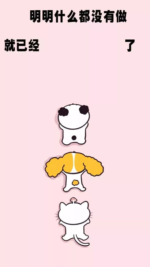 套路表情包明明什么都没做
