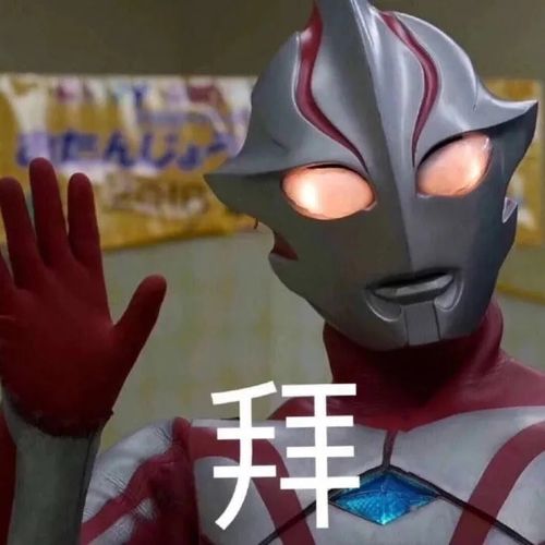 表情包没睡的出来聊天