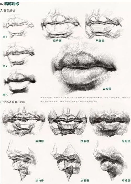 哔哩哔哩专栏