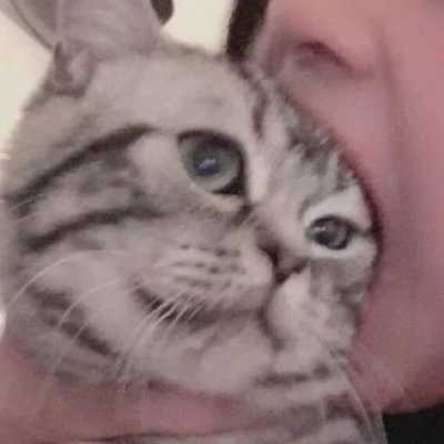 超明显超宠溺的爱人头像