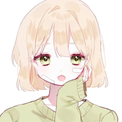 动漫女头二转注明