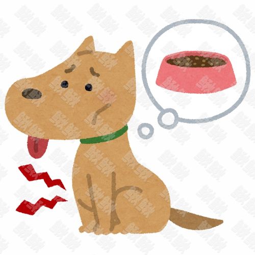 饿肚子没有饭吃的小狗狗猫咪小猫手绘卡通插画手绘png儿童插画免扣素材2阿猫阿狗