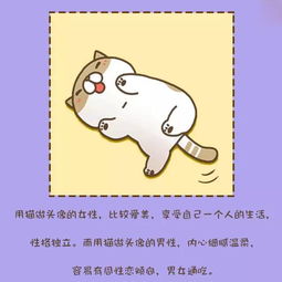 准到爆从你的微信头像看你的性格