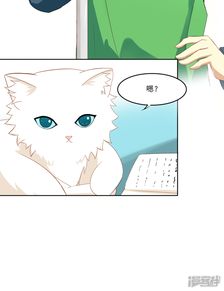 主子是猫王子殿下漫画泰格漫客栈