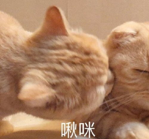 开始升温持续