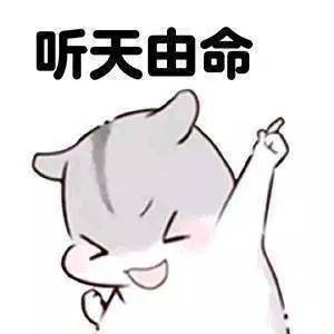 35张美食表情包,让你过年斗图不会输