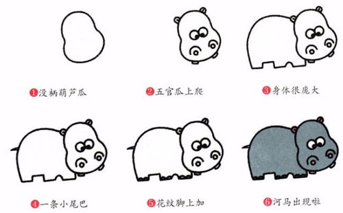 河马怎么画简单的河马简笔画步骤图