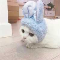 微信小猫情头一左一右头像