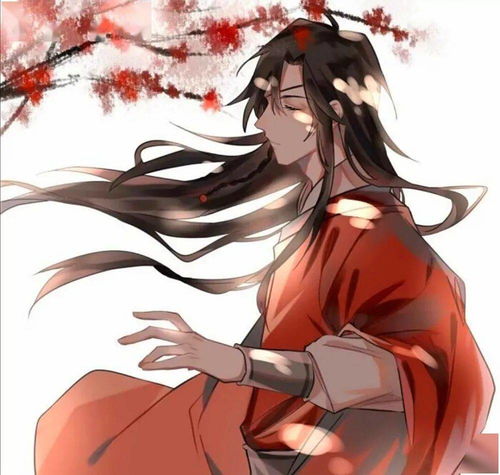 天官赐福动漫壁纸哥哥,成亲吧