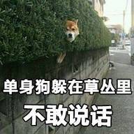适合七夕发朋友圈的单身狗文案