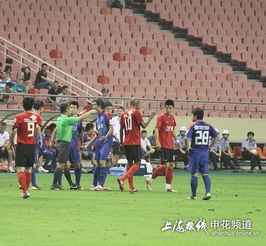 王大雷与杨旭冲突下黑手辽足外援玩肘击