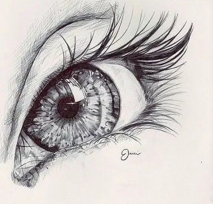 如果不懂得光影和素描的关系,原画设计也很难学的
