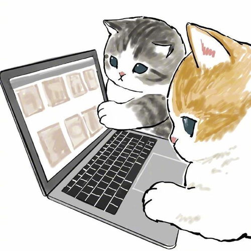 头像猫出没