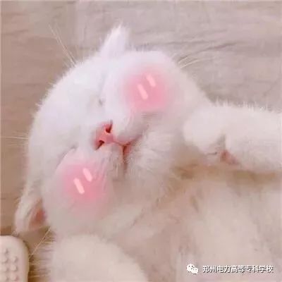 在家养膘搞事情,这才是寒假的正确打开方式