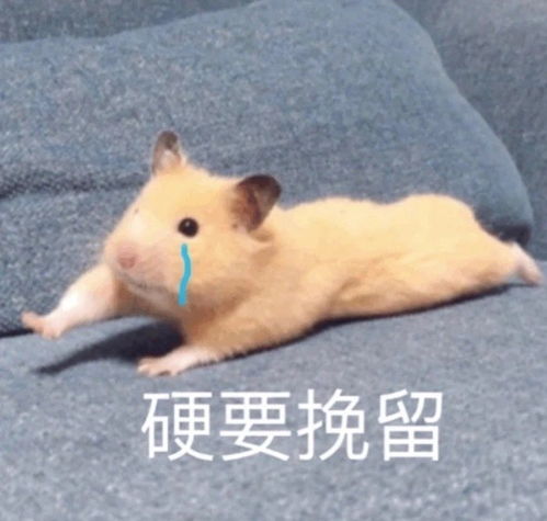 近日收藏的头像气质女人绝不轻易落泪