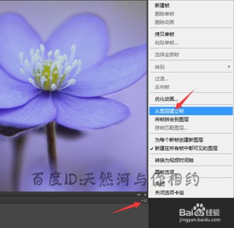 bmp图片制作动画效果动画制作