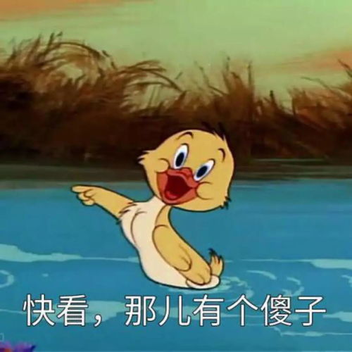 网恋小甜甜疯狂砸钱,结果奔现后发现是一大坦克