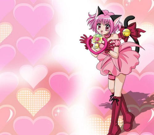 东京猫猫推出新作,魔法美少女题材作品,老番翻新期待吗