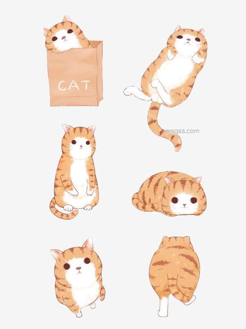 动物元素卡通可爱手绘猫咪橘猫手账橙色图片大小1024x1369px图片尺寸346.54kb来自png搜索网pngss.com免费免扣png素材下载ai橙色动物动物素动物元素橘猫卡通可爱猫猫咪矢量手绘手账