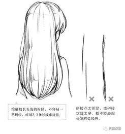 推荐丨还在画鸡窝头吗零基础插画漫画头发的绘制教程就在这