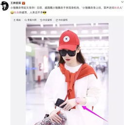 这只猪年赚30亿,香奈儿优衣库都抢着抱大腿