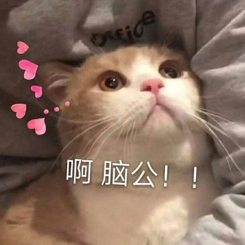 你家臭宝无法拒绝的憨憨表情包