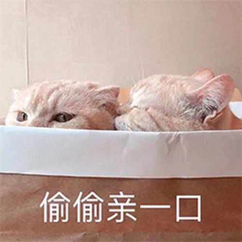 有没有什么抱抱亲亲的很暖的表情包