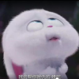 爱宠大机密丽颖微博头像小兔子各种照,这些剧情记得真爱粉么