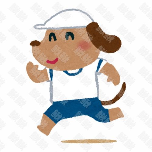 穿着运动服跑步的的小狗狗猫咪小猫手绘卡通插画手绘png儿童插画免扣素材1阿猫阿狗