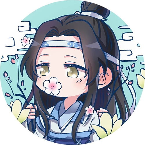 魔道祖师动画