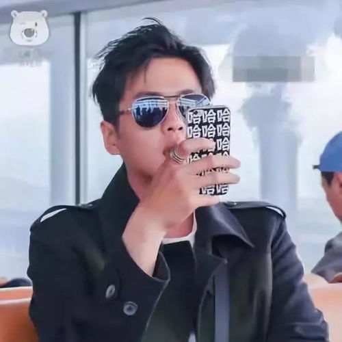 明星们的手机壳贾静雯的个性,林更新的社会,赵丽颖的可爱