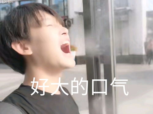 阴阳怪气表情包3